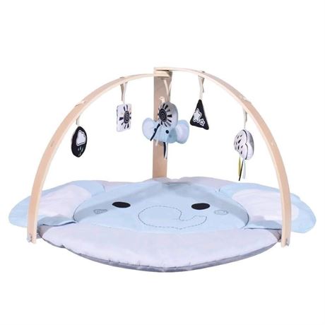 Wooden Activity Play Gym For Infants