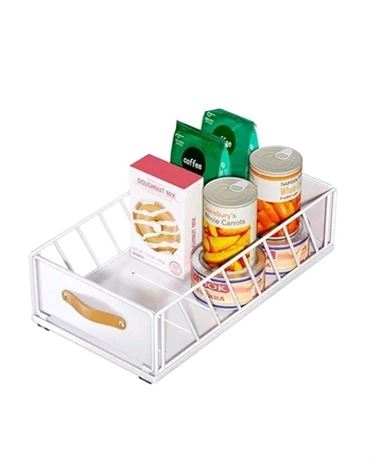 Pull out Cabinet Organizer Fixed