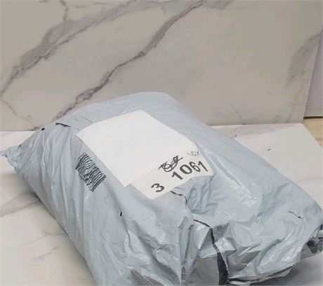 Mystery Undelivered Package - Temu or TikTok…