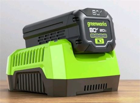 80V 2.0Ah two  Lithium-Ion Batteries