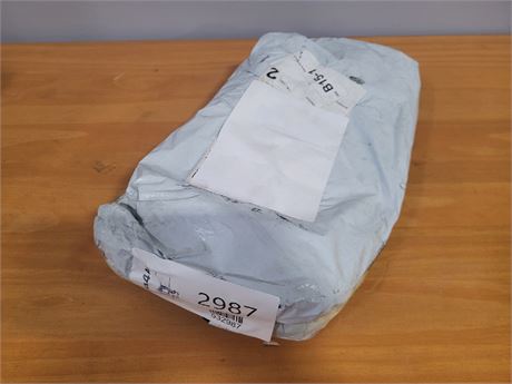 Mystery Undelivered Package � Temu or TikTok Shop Surprise Box