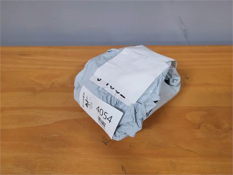 Mystery Undelivered Package � Temu or TikTok Shop Surprise Box