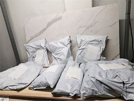 Mystery Undelivered Package Temu or TikTok Shop Surprise Box