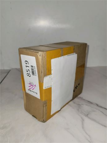 Mystery Undelivered Package � Temu or TikTok Shop Surprise Box