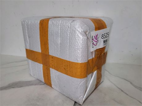 Mystery Undelivered Package � Temu or TikTok Shop Surprise Box