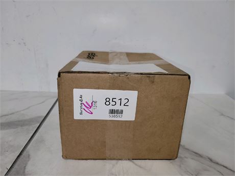 Mystery Undelivered Package � Temu or TikTok Shop Surprise Box
