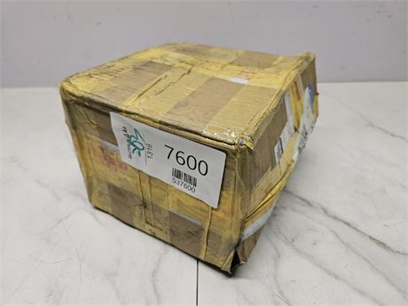 Mystery Undelivered Package Temu or TikTok Shop Surprise Box