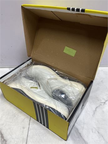 White Sneakers in Box