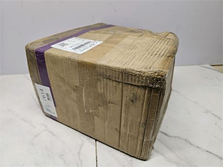 Mystery Undelivered Package Temu or TikTok Shop Surprise Box