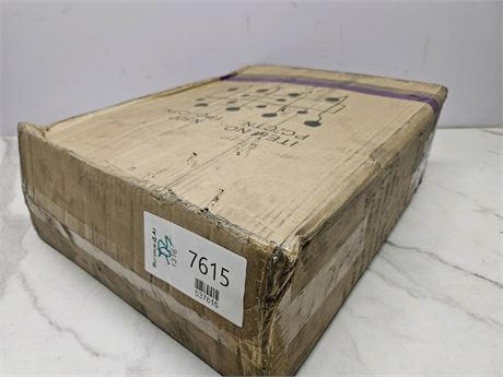 Mystery Undelivered Package Temu or TikTok Shop Surprise Box