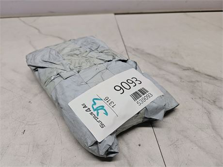 Mystery Undelivered Package ? Temu or TikTok Shop Surprise Box