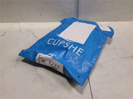 Mystery Undelivered Package ? Temu or TikTok Shop Surprise Box