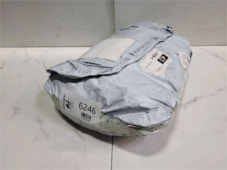 Mystery Undelivered Package ? Temu or TikTok Shop Surprise Box