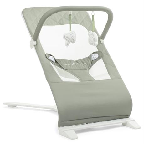 Baby Delight Alpine Organic Deluxe Portable