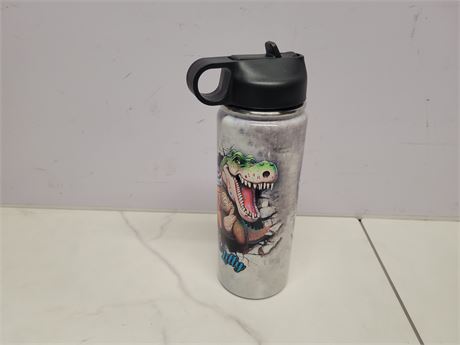 Dinosaur Print Water Bottle