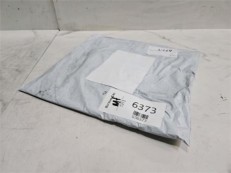 Mystery Undelivered Package Temu or TikTok Shop Surprise Box