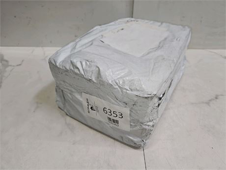 Mystery Undelivered Package Temu or TikTok Shop Surprise Box