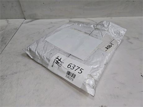 Mystery Undelivered Package Temu or TikTok Shop Surprise Box