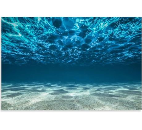 Blue Ocean Seascape Bottom View