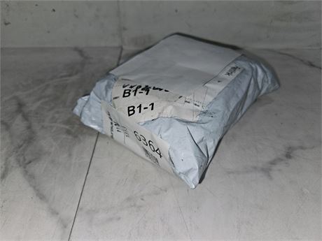 Mystery Undelivered Package Temu or TikTok Shop Surprise Box