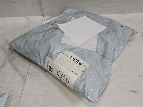 Mystery Undelivered Package Temu or TikTok Shop Surprise Box