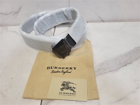 DesignerBelt with Dust Bag
