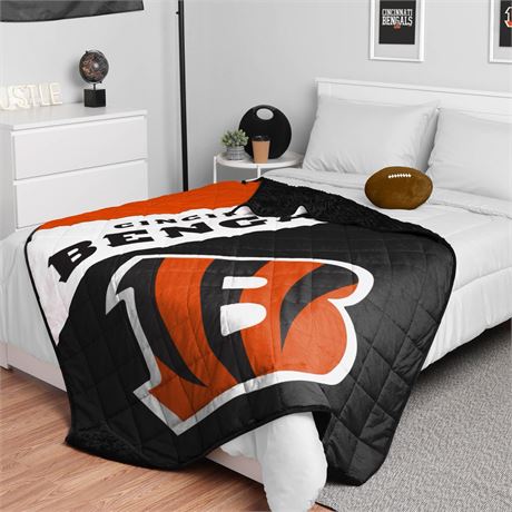 FOCO Bengals NFL Team Color Wordmark